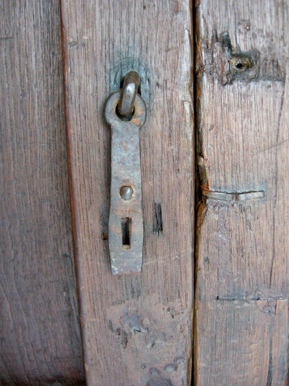 Pair of 19th Century Antique Wooden Doors 1