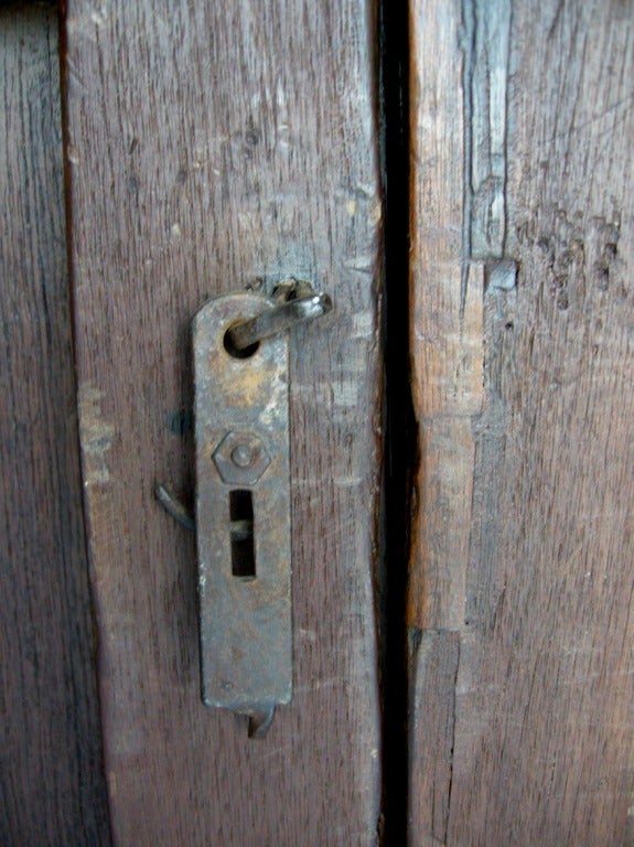 Pair of 19th Century Antique Wooden Doors 2