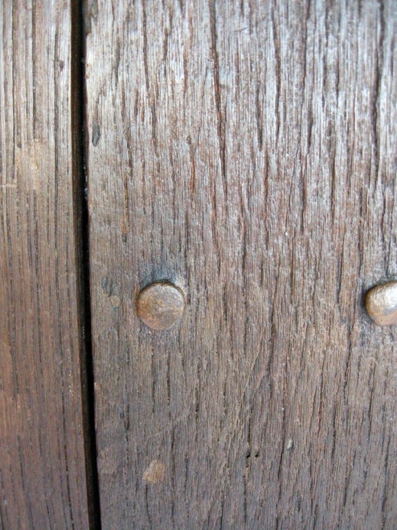 Pair of 19th Century Antique Wooden Doors 3