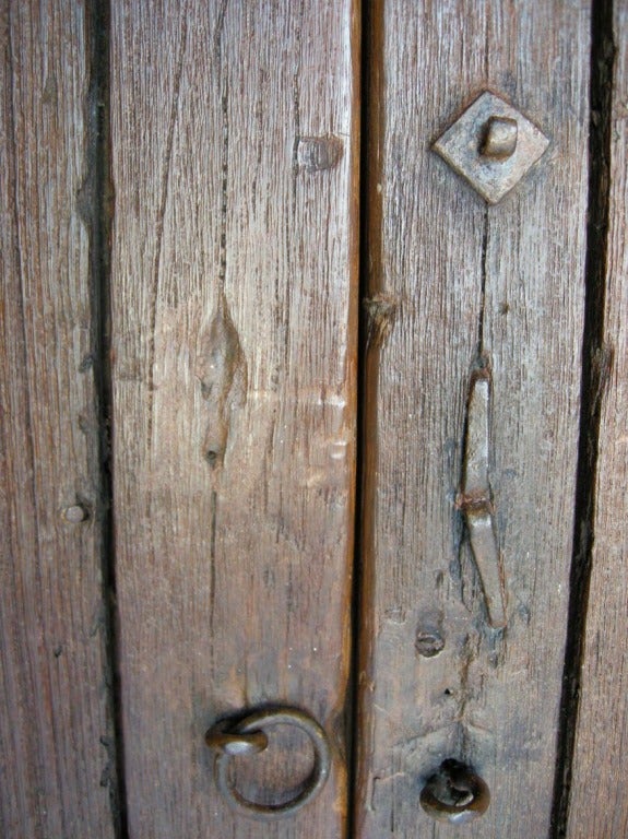 Pair of 19th Century Antique Wooden Doors 4