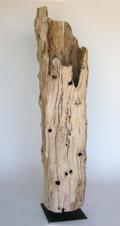 Beautiful piece of hollow driftwood mounted on iron base