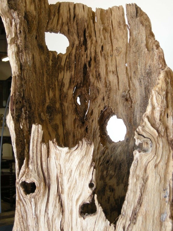 Driftwood Sculpture 1