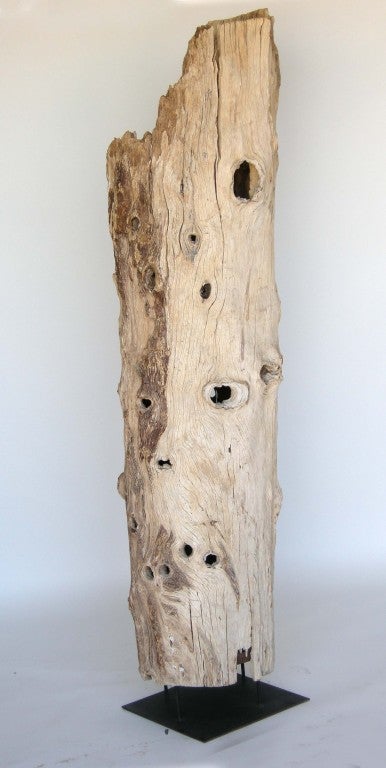 Driftwood Sculpture 4