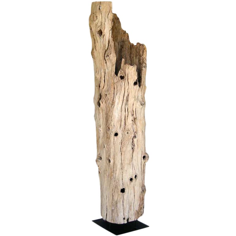Driftwood Sculpture For Sale at 1stDibs