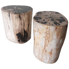 Petrified Wood Side Tables