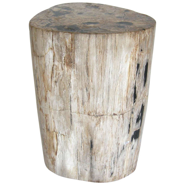 Petrified Wood Side Table at 1stDibs