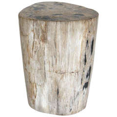 Petrified Wood Side Table