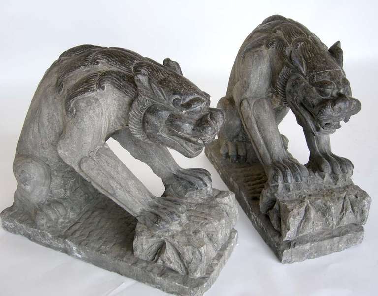 Pair of black limestone gargoyles with great carved mane and backbone. The body is honed and face and mane are polished grey.