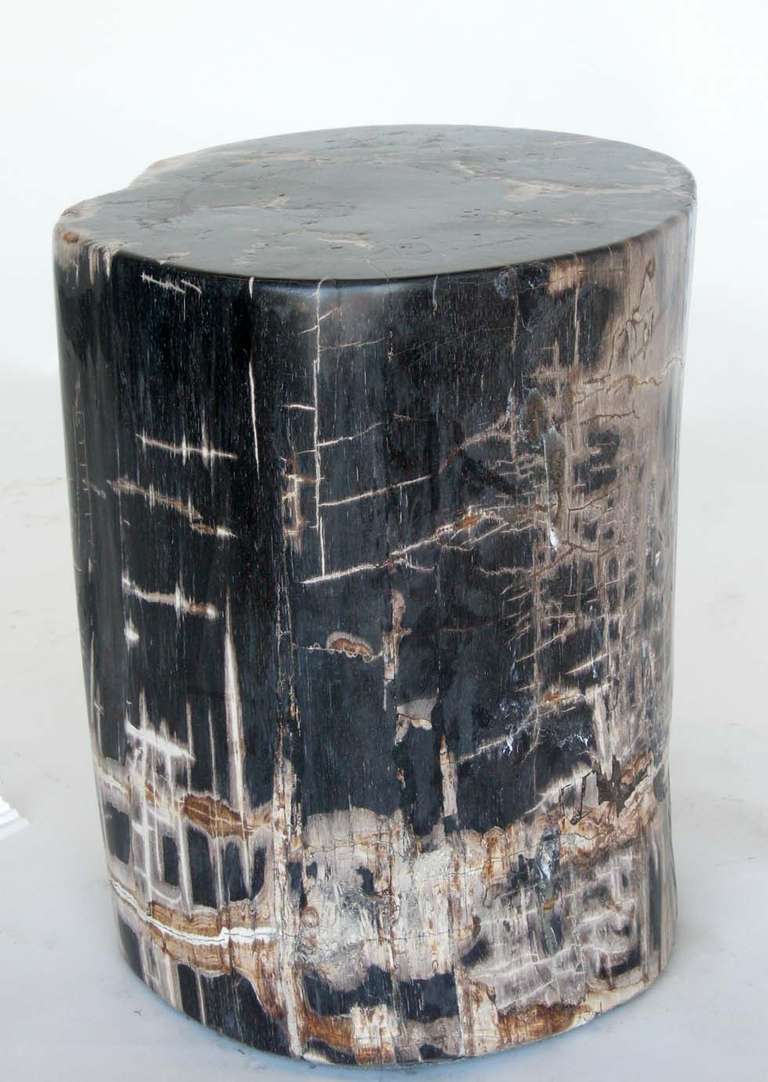 Indonesian Large Petrified Side Table