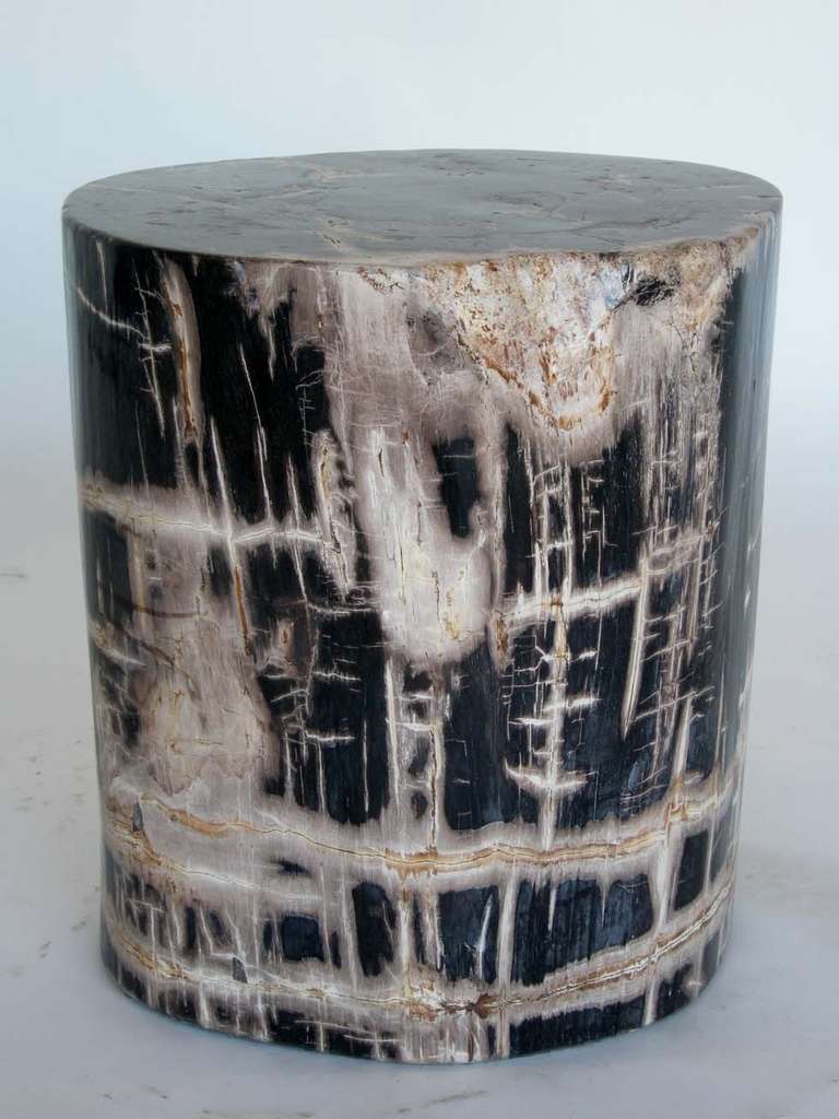 Large petrified wood stool/side table. Great black, white and beige colors. Slightly oval shape