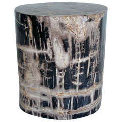 Large Petrified Side Table