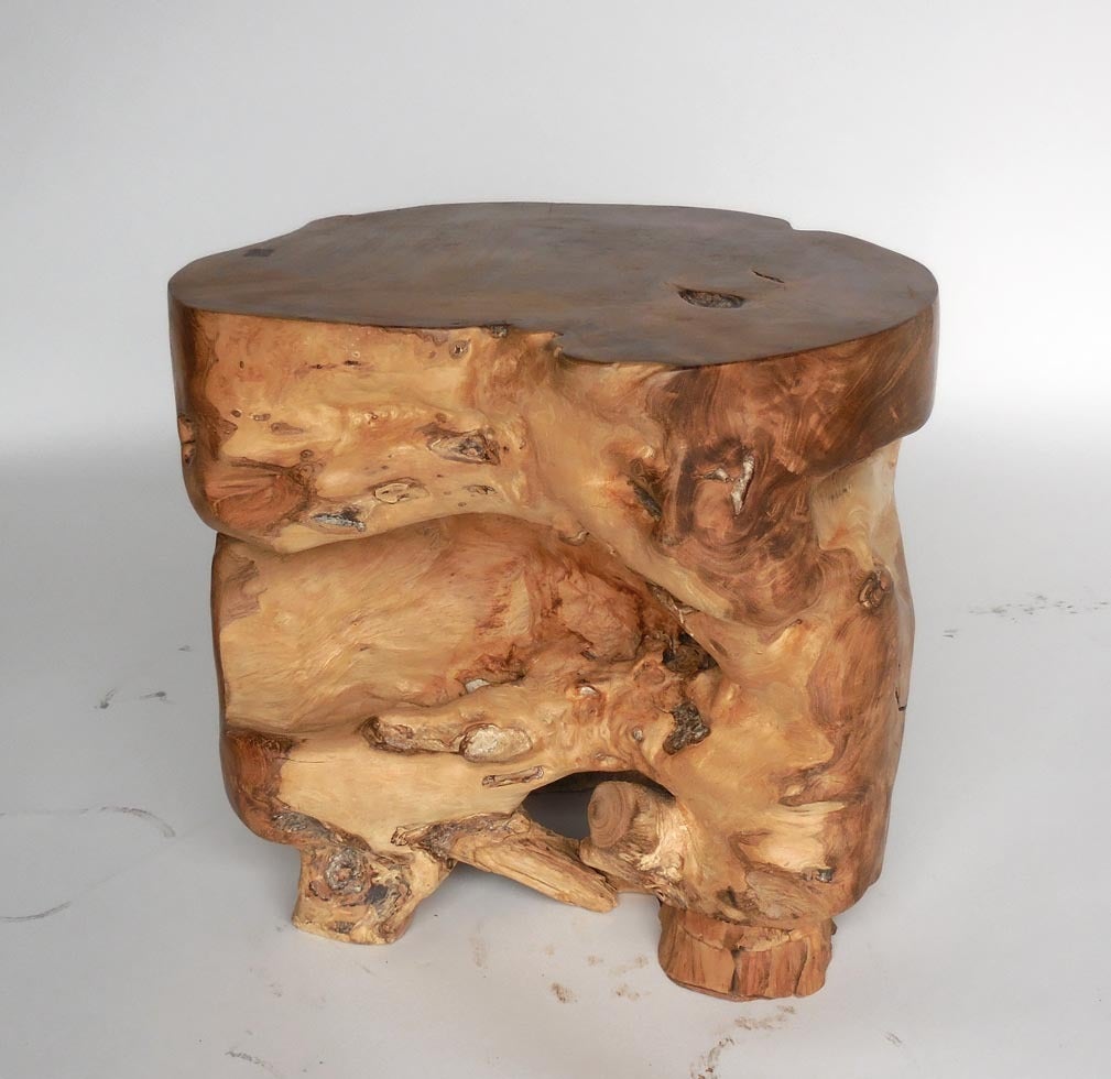 Organic Modern Organic End Table