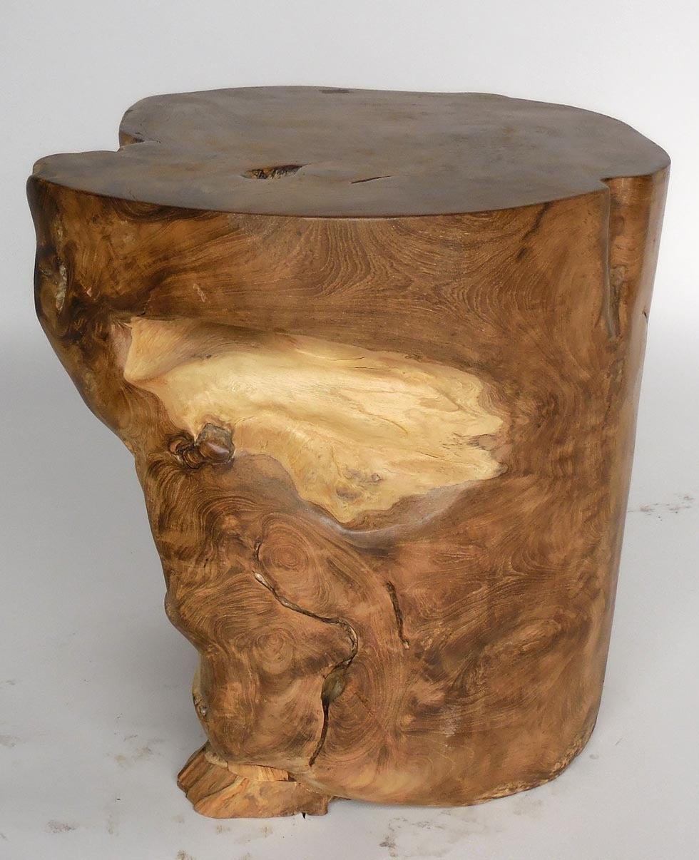 20th Century Organic End Table