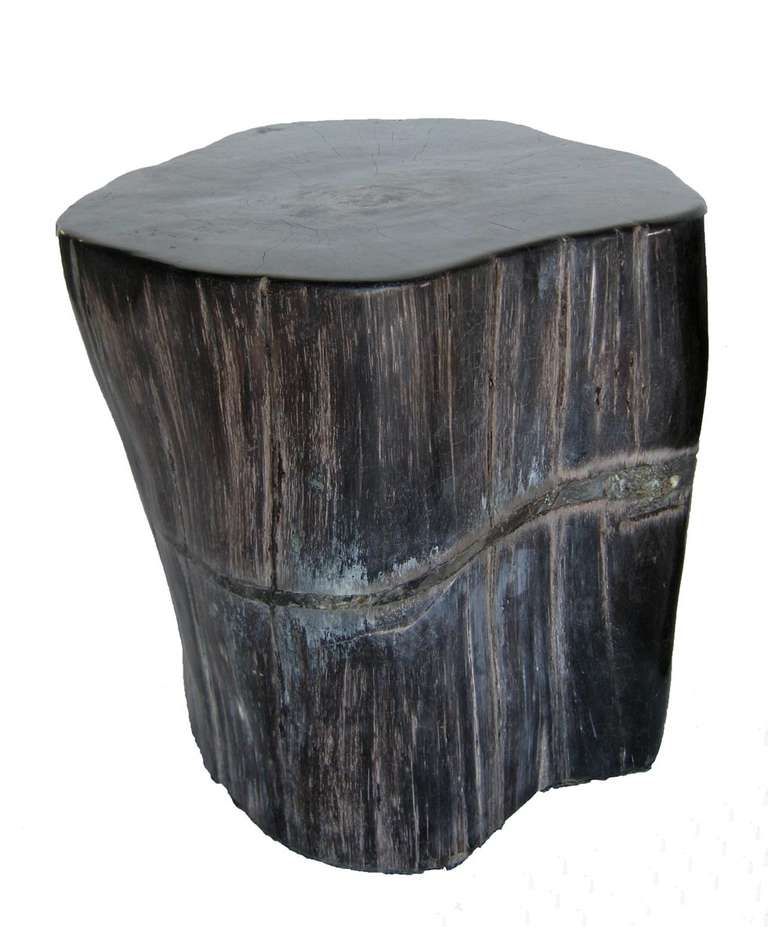 petrified wood stools for sale