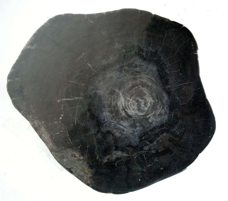 International Style Petrified Wood Stool or Side Table
