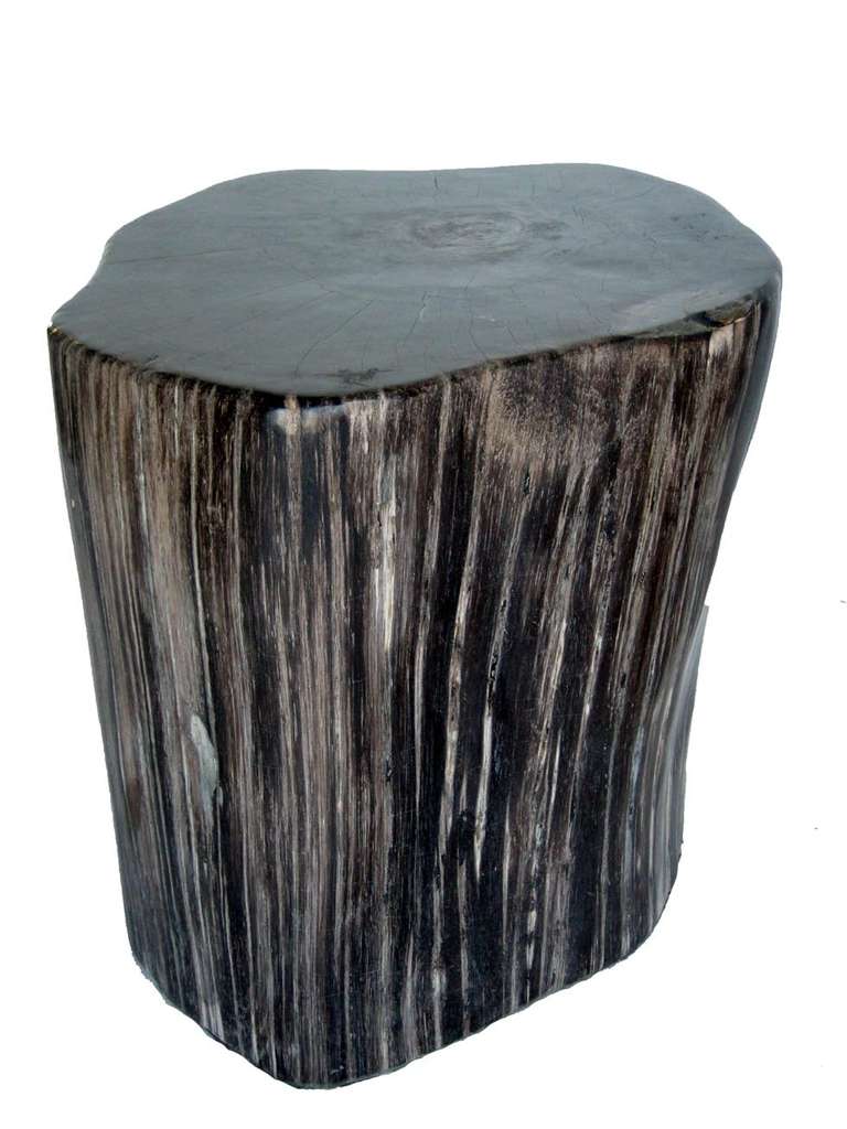 ONLY THE BLACK ONE AVAILABLE. Large scale petrified wood stone side table or stool in black and beige. Natural shapes and stone gradations.