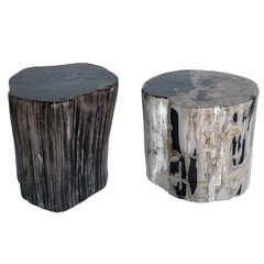 Petrified Wood Stool or Side Table