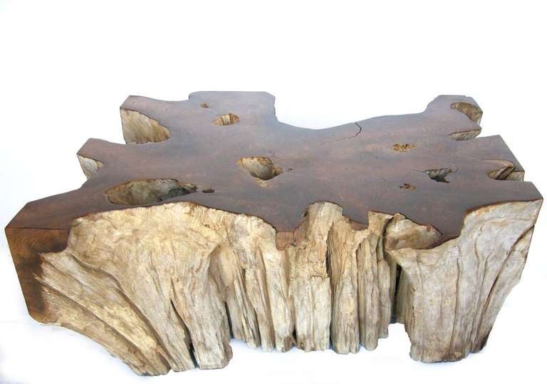 Teak root coffee table with natural edges and polished top. Java.