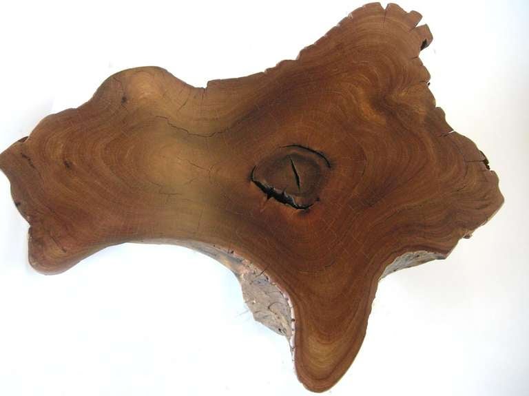 Pradu Root Coffee Table