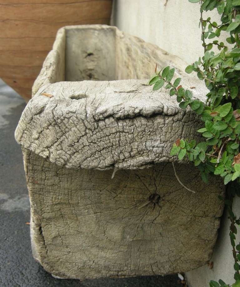 Antique 19th Century Large Wooden Carved Trough