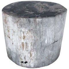 Large Petrified Stool/Table