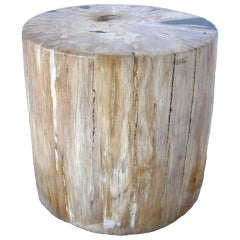 Polsterhocker/Table aus versteinertem Holz