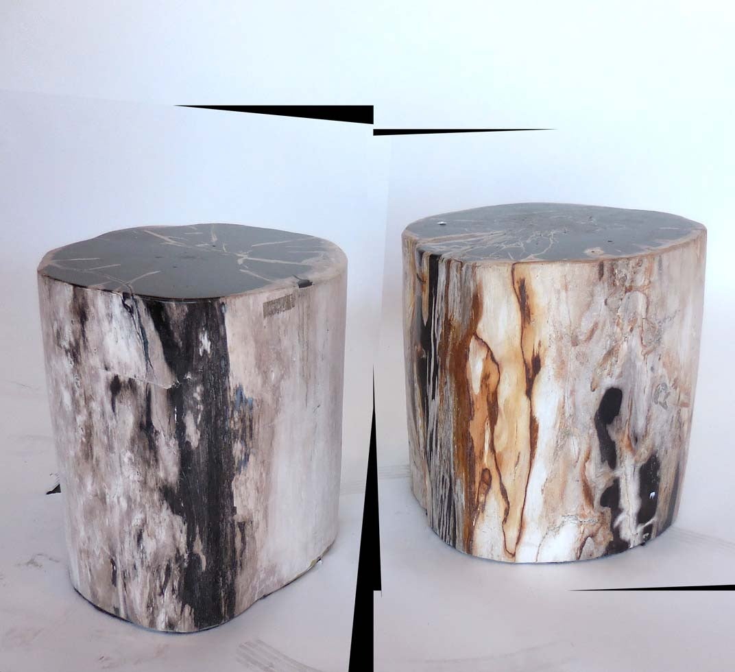 Petrified Wood Stool/Side Tables