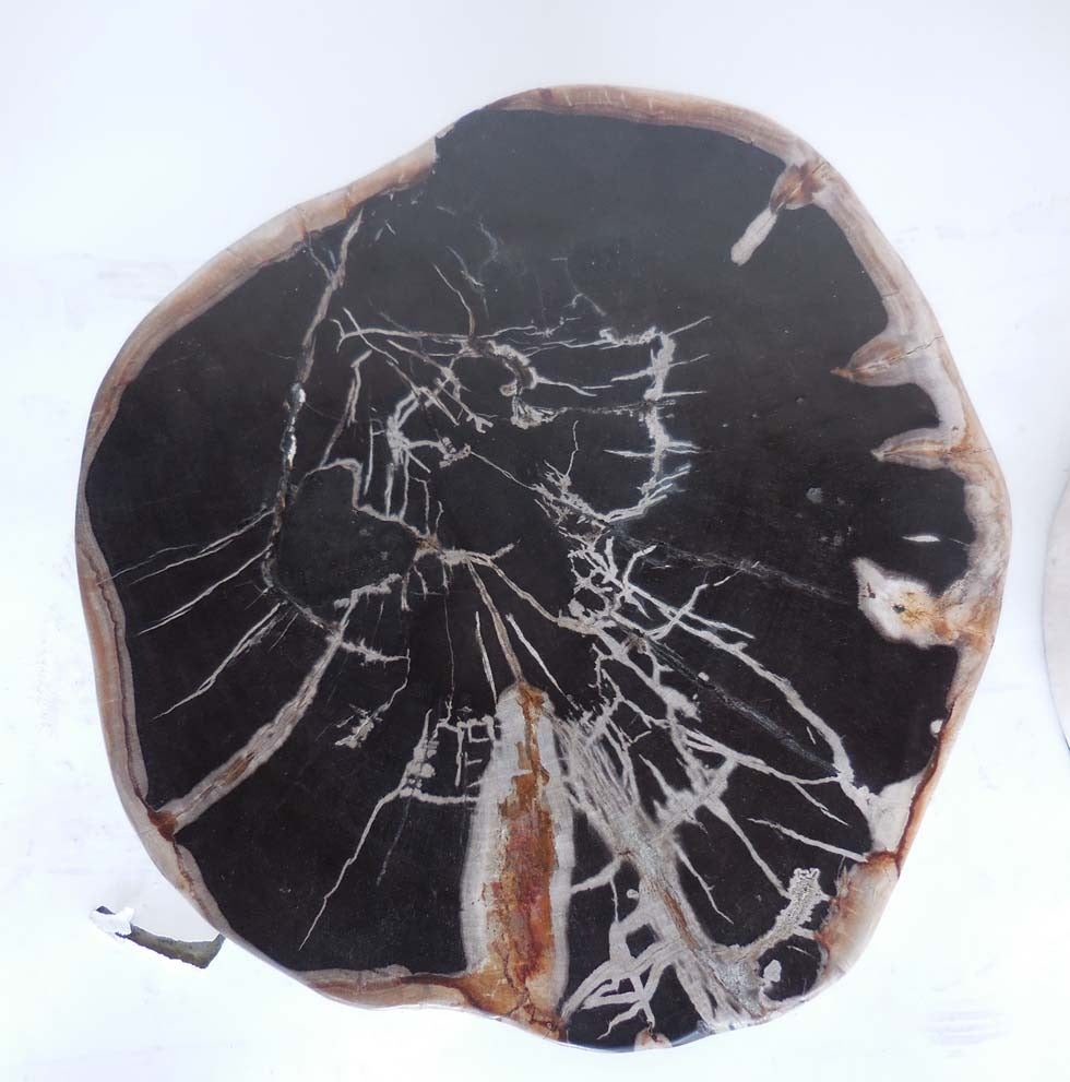 Petrified Wood Side Table or Stool - one available