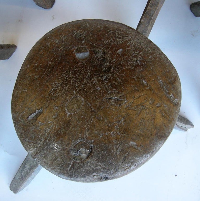 XIX sec. Sgabelli per mungitura