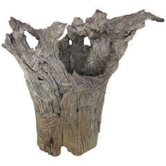 Antique Driftwood Sculpture