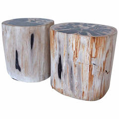 Petrified Wood Side Table or Stool - one available