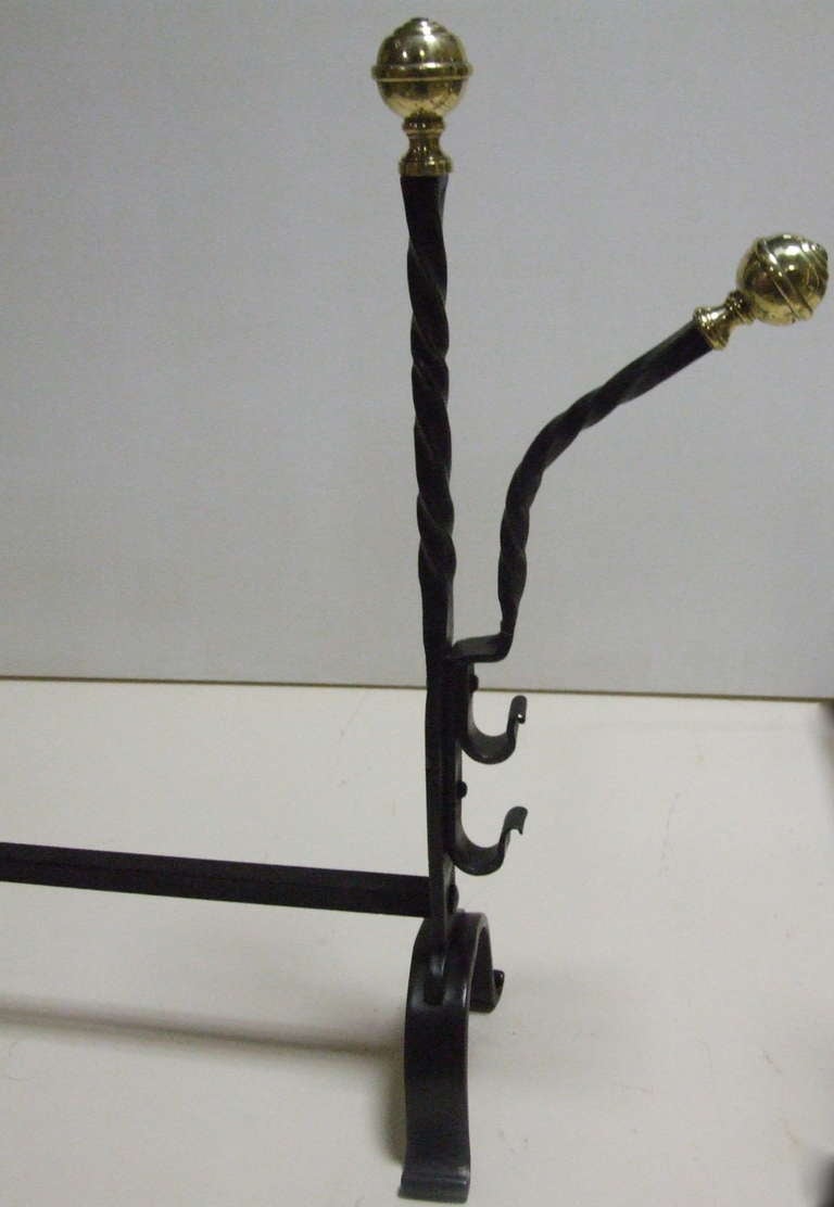 19th Century Charming Pair of Brass and Wrought Iron Andirons