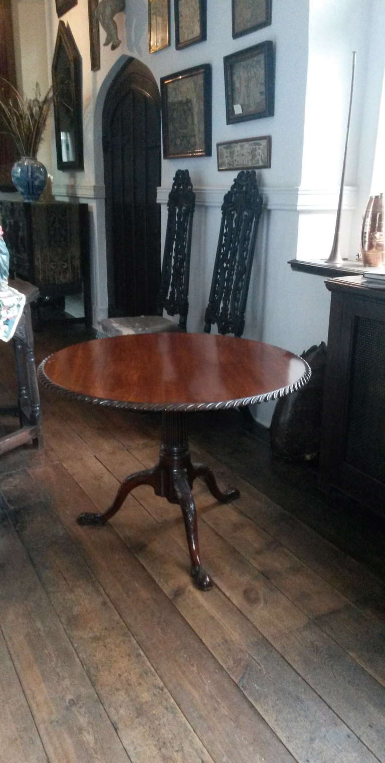 Very fine George II mahogany tilt-top tea with carved rope edge top in exceptional quality timber on fluted column with three legs with acanthus carving and ending in healed shoe feet, the whole with lovely surface.