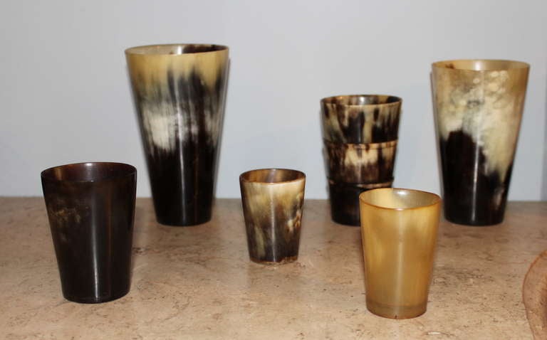 Collection of English 19th Century Horn Cups