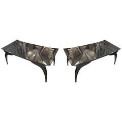Sculptural Pair of Klismos Lacquered Benches 8