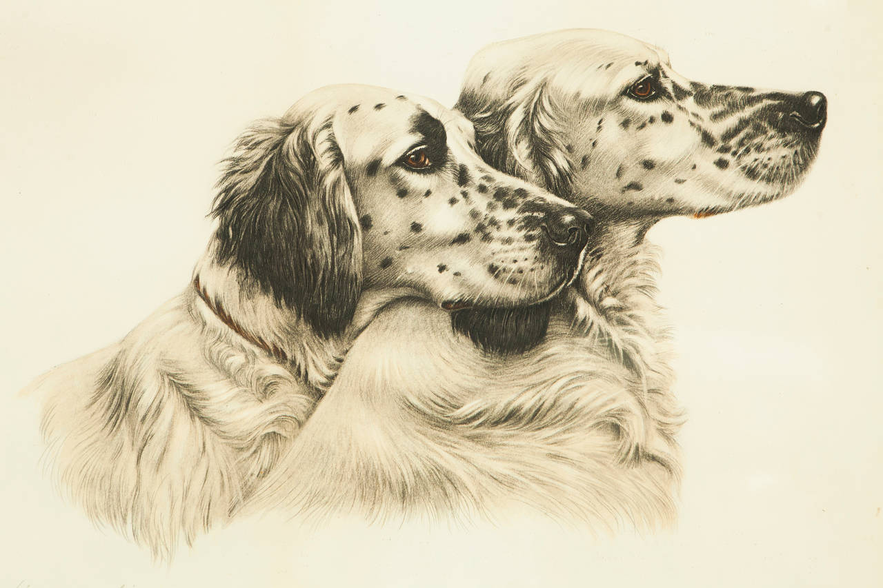This handsome Léon Danchin hand colored etching of two English Setter Hunting Dogs is signed in pencil and in the original glass and gilt edged wooden frame. Léon Danchin (1887-1938) was a French artist known for his drawings of animals, primarily