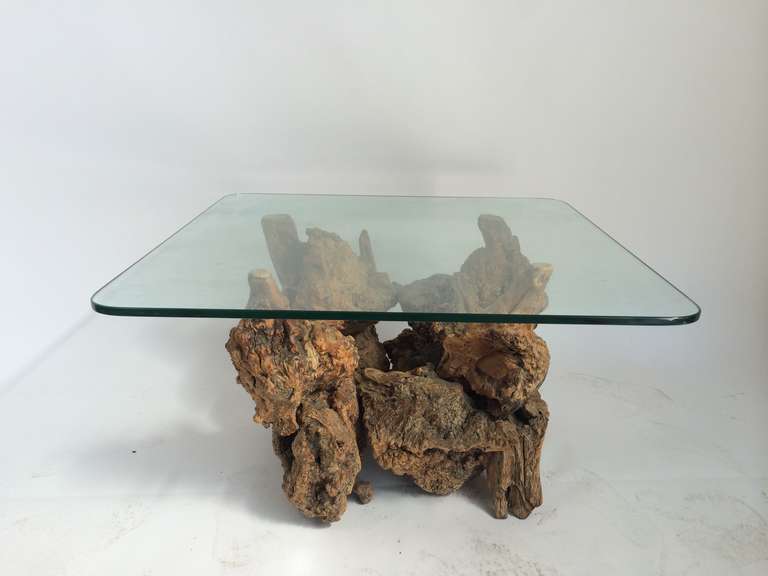 Mid-Century Modern Suite of 1960s Live Edge Grape Root Tables