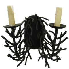 Gothic, Surreal Black Coral Sconce