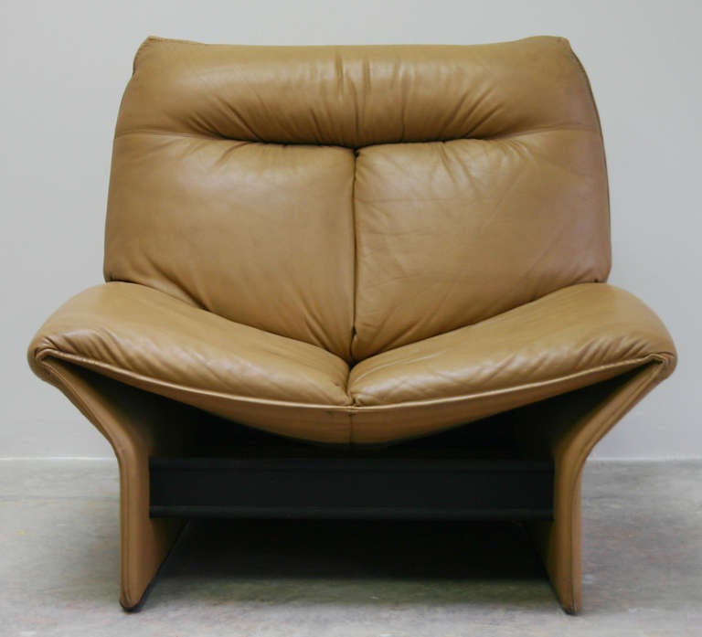 Mid-Century Modern Busnelli Rondine Chair For Sale