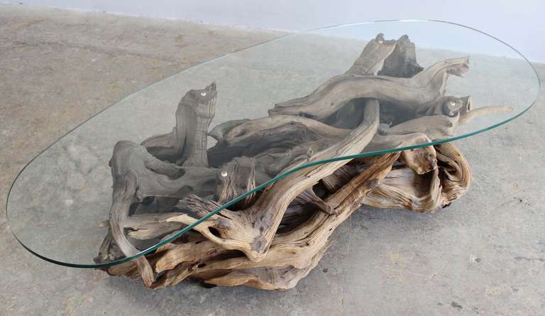 Sculptural driftwood base coffee table with kidney-shaped glass top; on casters.