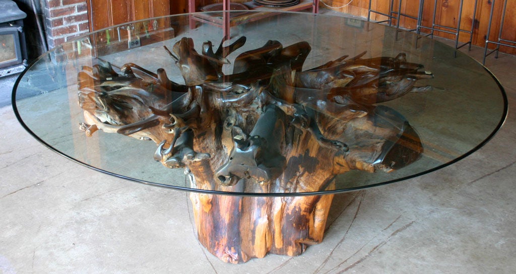 Mammoth tree trunk rescued approximately 40 yrs ago from waters near Acapulco Mexico; in rich warm to dark brown hues; dried and sealed. An amazing specimen.