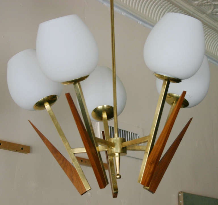 Tulip Chandelier For Sale at 1stDibs
