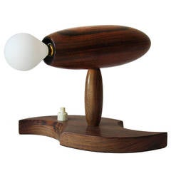 Danish Rosewood Pivoting Light 9