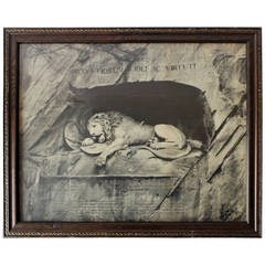 Framed Lion Print