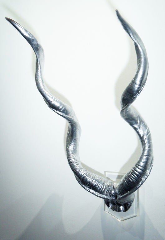 Silveristic Kudu Hornetts