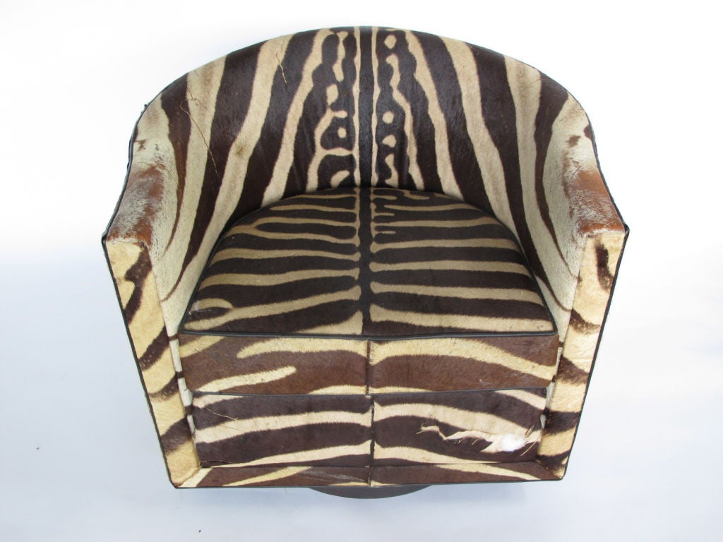 A Pair of Wormley for Dunbar Barrel Chairs in Original Zebra 4