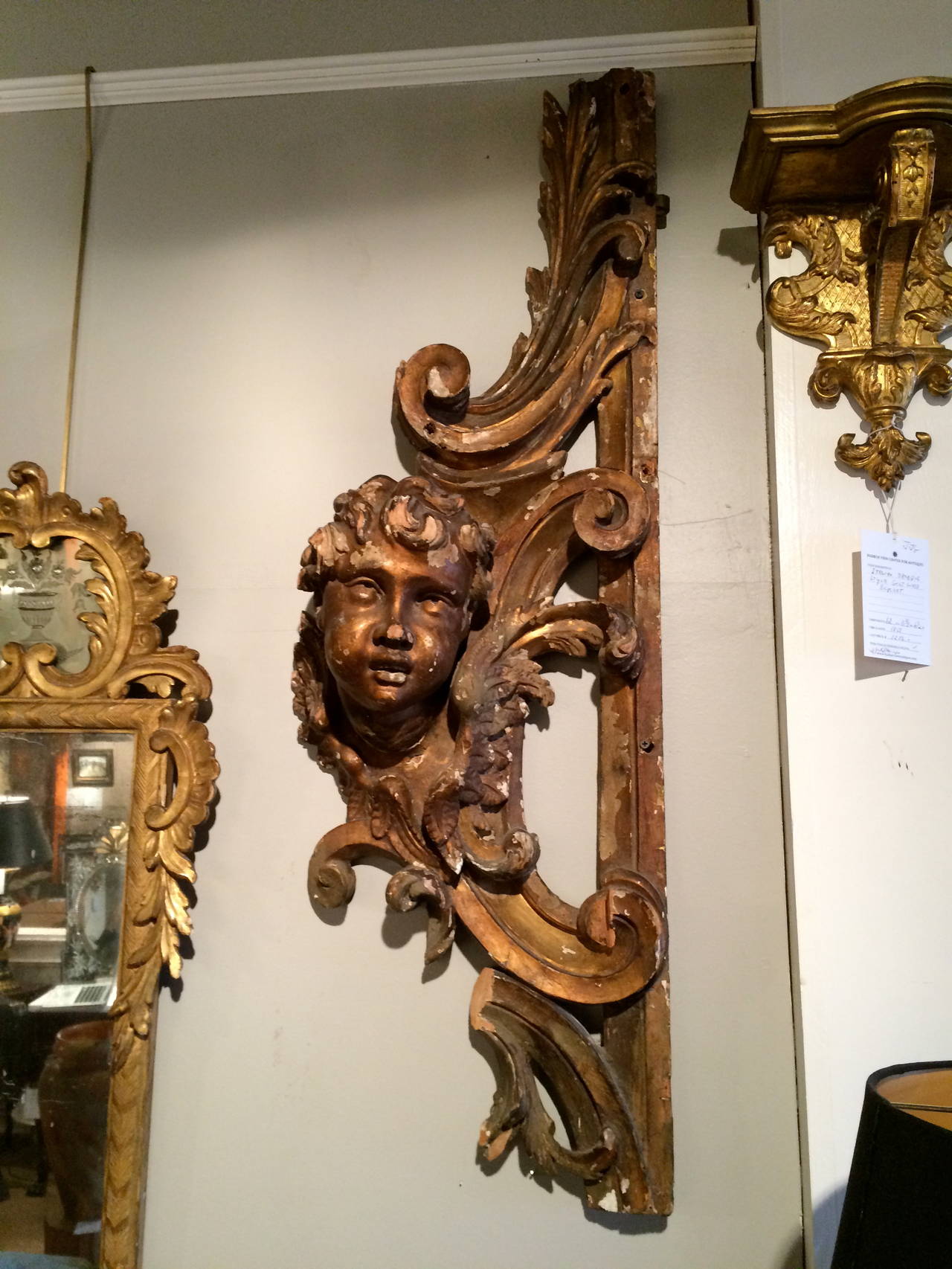 Excellent quality large-scale 18th century Florentine giltwood carving of winged putto, his head shown in high relief suspended in arabesques. An architectural fragment, possibly from an elaborate choir screen.