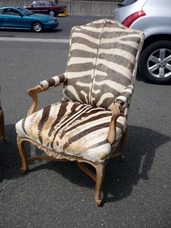 Fabulous pair of French Louis XV style oversize arm chairs with original zebra upholstery. These chairs are top quality with fine carved detailing throughout.