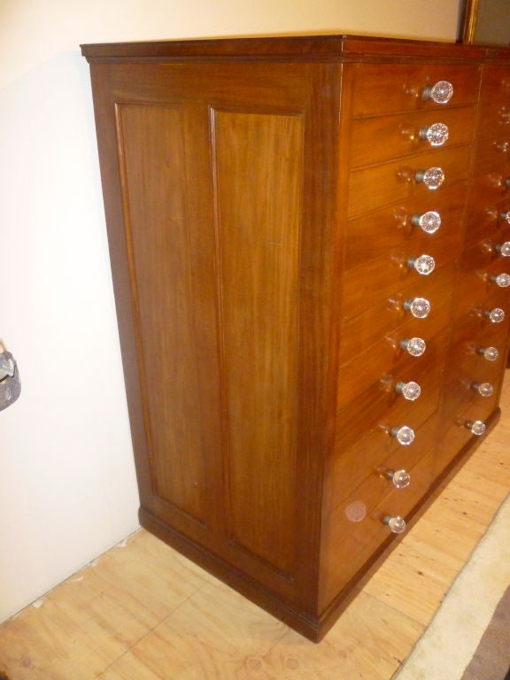 English Large Scale Collectors Cabinet