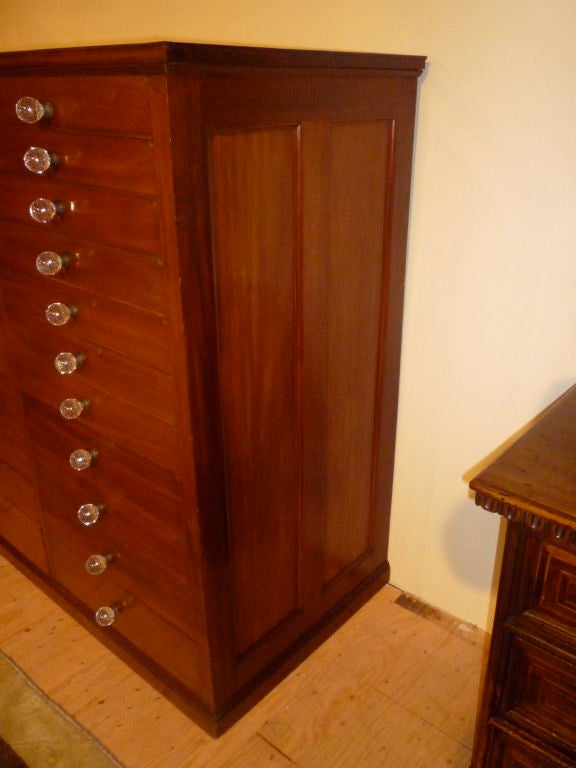 Large Scale Collectors Cabinet In Excellent Condition In Stamford, CT